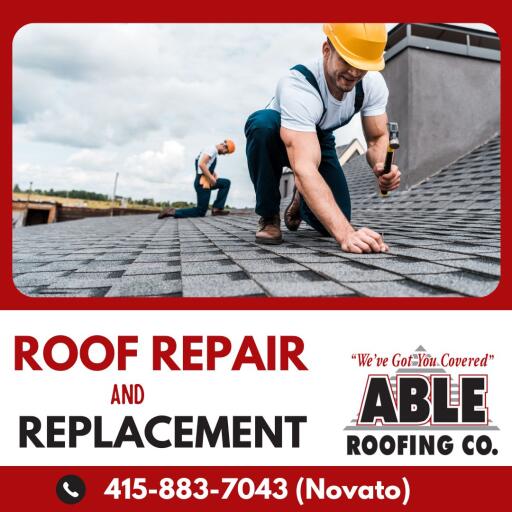 Services for Emergency Roof Repair