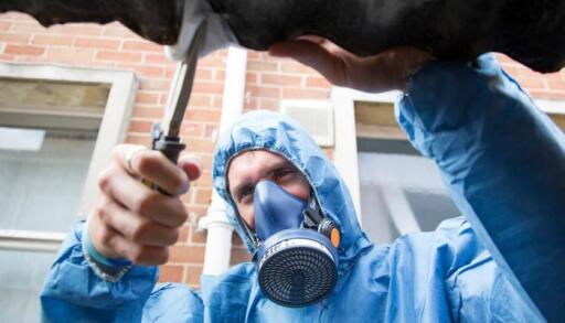 How much does an asbestos survey cost?