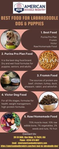 Best Food For Labradoodle Dog & Puppies