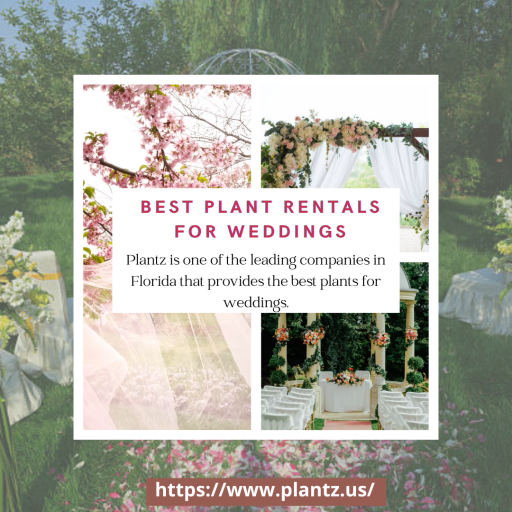 Plant Rentals for Wedding - PLANTZ US