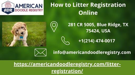 How to Litter Registration Online