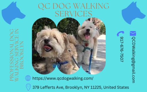 Let A Professional Dog Walking Service In Brooklyn Do The Needful For Your Dog