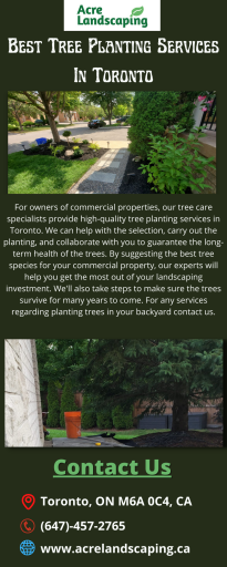Best Tree Planting Services In Toronto For Your Backyard Garden