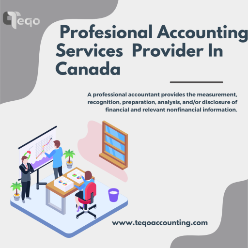 Accounting Services in Canada (1)