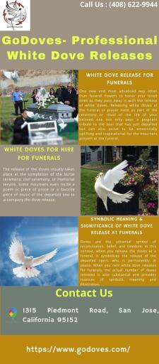 Professional White Dove Release Services Covering the Entire Bay Area
