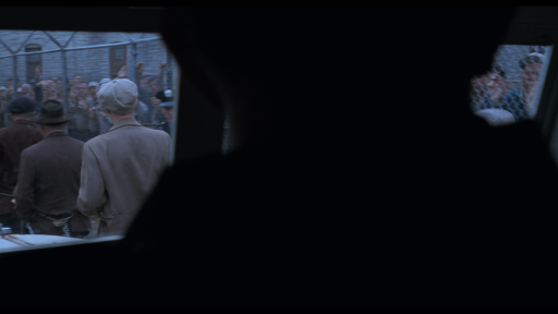 The.Shawshank.Redemption.1994.1080p.BluRay.Remux.AVC.DTS HD.MA.5.1 WELP 15000