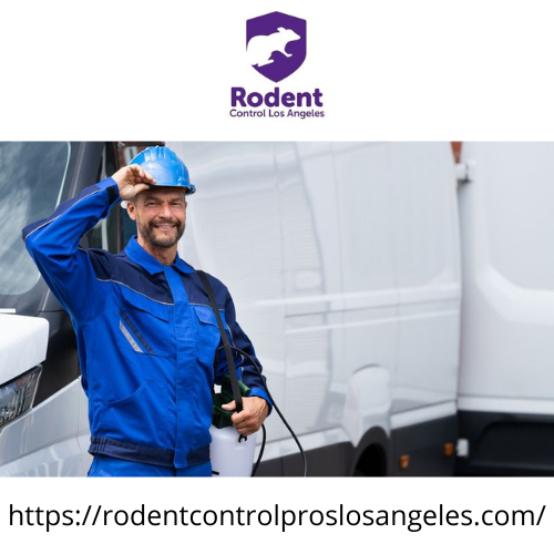 Contact Rodent Control Los Angeles for Animal Removal Service