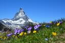 mountains 1516733