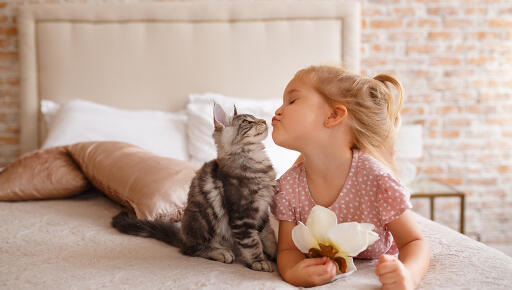 Providing the best care for your loving pets