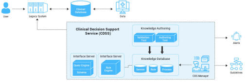 Clinical Decision Support Process Image Web