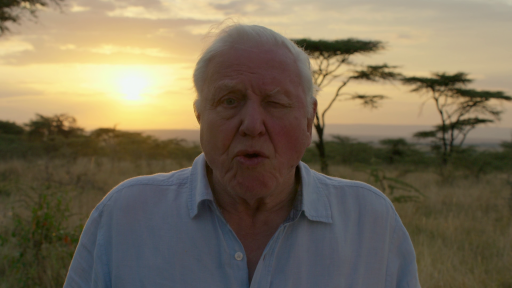 David.Attenborough.A.Life.on.Our.Planet.2020.1080p.NF.WEBRip.DDP5.1.x264 NTb 24000