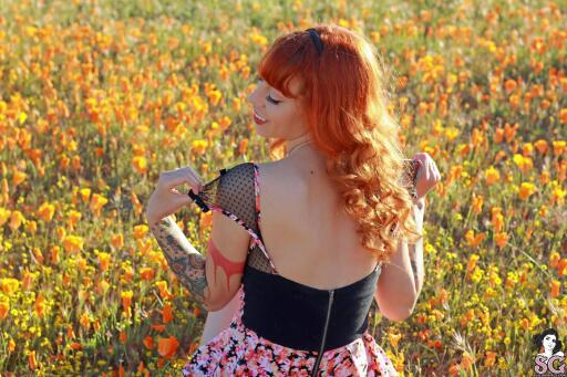 Beautiful Suicide Girl Leemalee California Poppies (7) High resolution lossless iPhone retina image