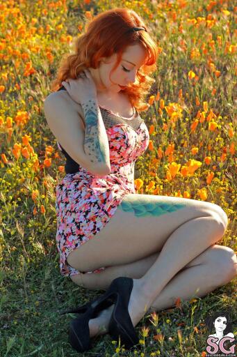 Beautiful Suicide Girl Leemalee California Poppies (5) High resolution lossless iPhone retina image
