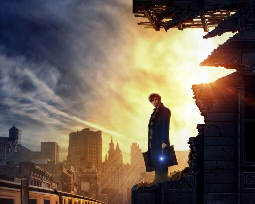07 Fantastic Beasts and Where to Find Them November 18 2016