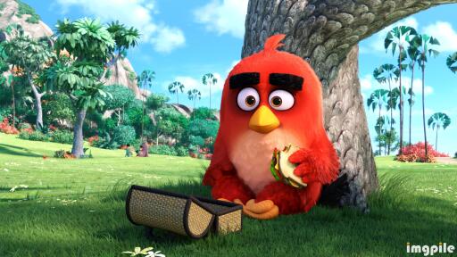 Angry birds movie 3840x2160 red best animation movies of 2016 7086