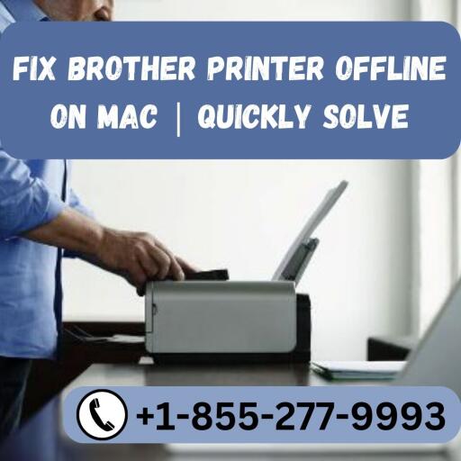 Fix Brother Printer Offline On Mac | Quickly Solve +1-855-277-9993