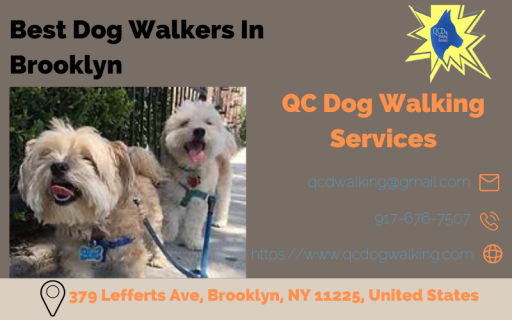 Find The Best Dog Walkers In Brooklyn | QC Dog Walking Services