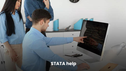 Get the best STATA help from our professionals