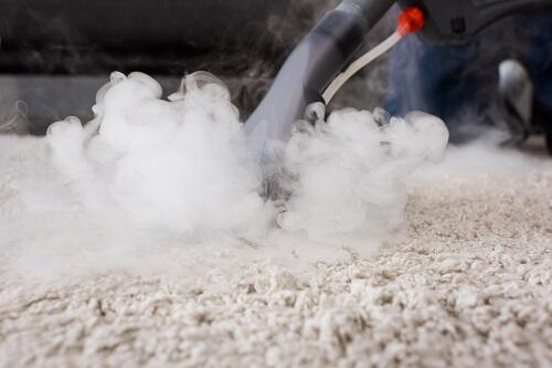 Most Reliable Professionals for Carpet Steam Cleaning in Melbourne