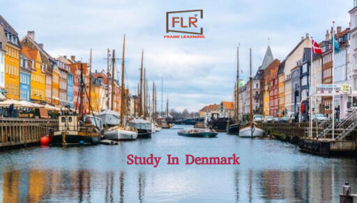 Frame Learning: Illustrious Study Abroad Consultants for Denmark