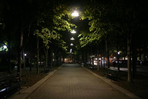 Pathway at Night