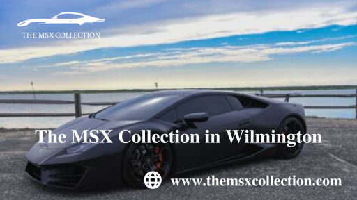 The MSX Collection in Wilmington