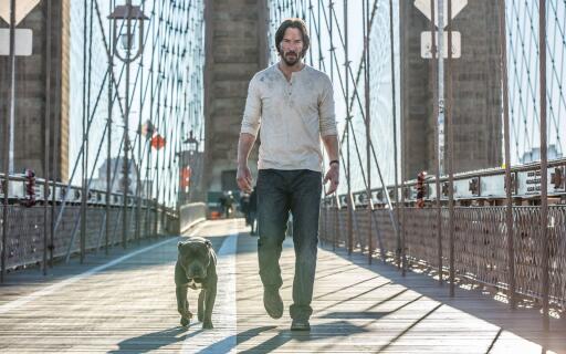 11 pitbull as himself it039s a male right and Keanu Reeves as John Wick