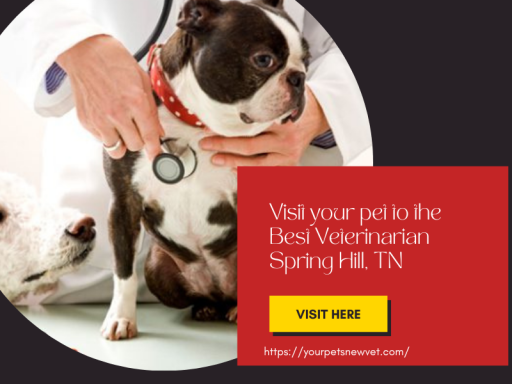 Visit your pet to the Best Veterinarian
