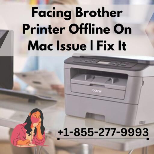 Facing Brother Printer Offline On Mac Issue | Fix It +1-855-277-9993