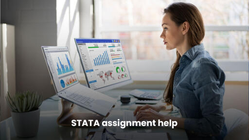 Improve your grades with STATA assignment help