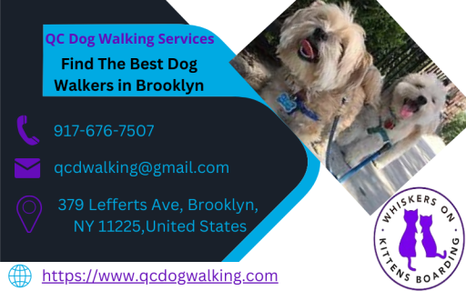 Find the Best Dog Walkers in Brooklyn.