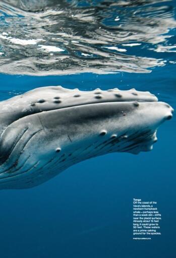 National Geographic USA December 2016 (3)