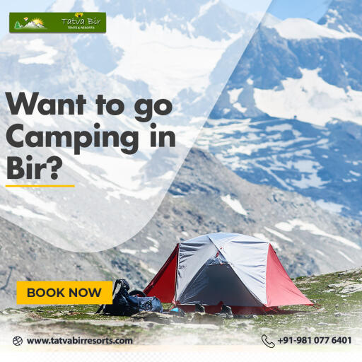 Want to go Camping in Bir