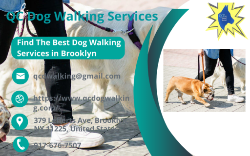 Find The Best Dog Walking Services in Brooklyn