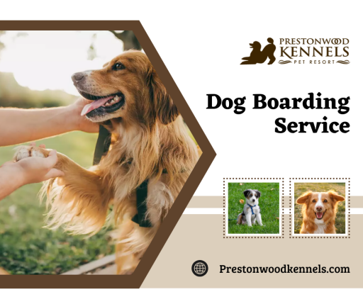 Highly Qualified Pet Care Service