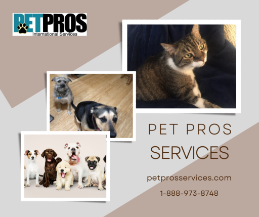 Ground Transpotation - Pet Pros Services