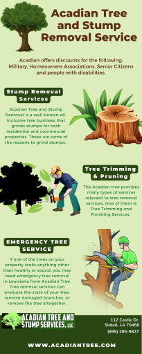 Waveland Tree Removal | Acadian Tree and Stump Removal Service