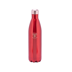 Top Wholesale Stainless Steel Vacuum Bottle Supplier online: Eagle Consumer