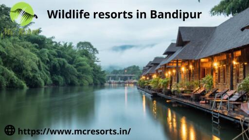 Wildlife resorts in Bandipur
