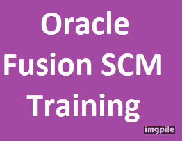 Choosing Best Oracle SCM Tutorial