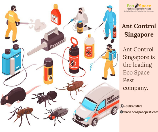 Best Ant Control Services in Singapore | Eco Space Pest