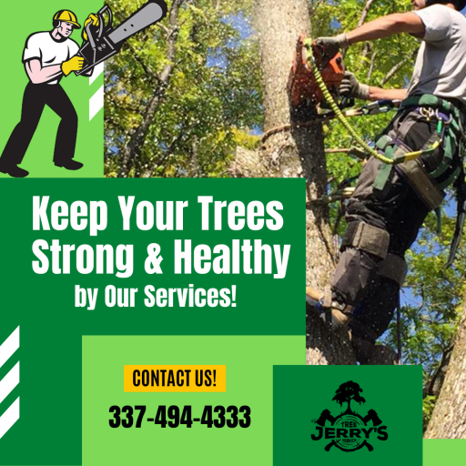 Reliable & Affordable Tree Removal Services