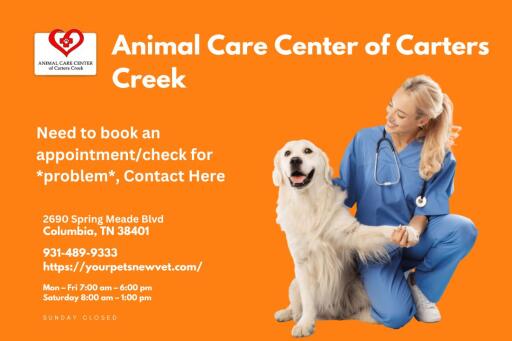 When Should You Call to Veterinarian?