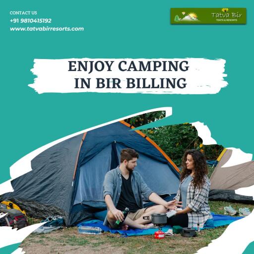 Enjoy Camping In Bir Billing