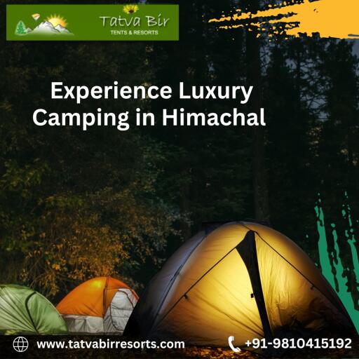 Experience Luxury Camping in Himachal