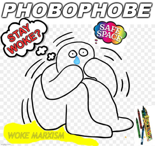 MEME PHOBOPHOBE SafeSpace Woke Marx