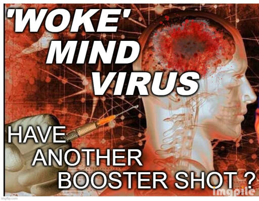 meme Woke Mind Virus Another Booster