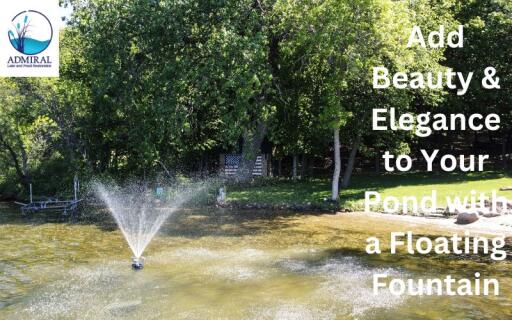 Add Beauty & Elegance to Your Pond with a Floating Fountain