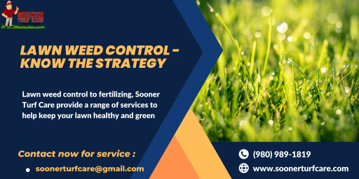 Lawn Weed Control Services in North Carolina