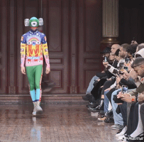 dsIMAG.gif